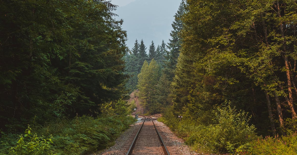 Schengen visa transit in other Schengen country - Straight rural railway running through abundant evergreen woodland trees on clear summer day Schengen visa transit in other Schengen country - Straight rural railway running through abundant evergreen woodland trees on clear summer day