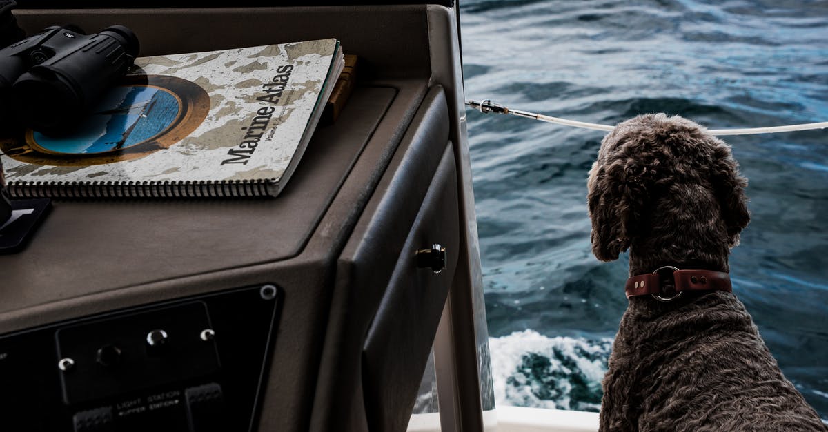 Shipping my dog - Dog Standing Beside Sea Shipping my dog - Dog Standing Beside Sea
