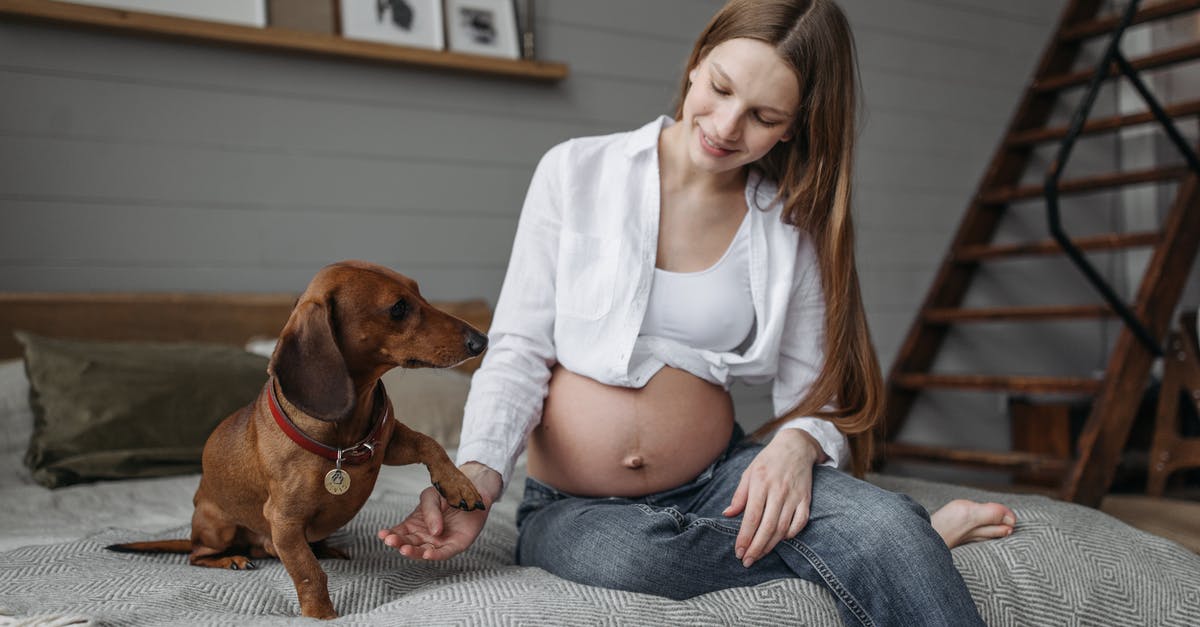 Shipping my dog - Free stock photo of activities for pregnant women, adult, aerobics Shipping my dog - Free stock photo of activities for pregnant women, adult, aerobics