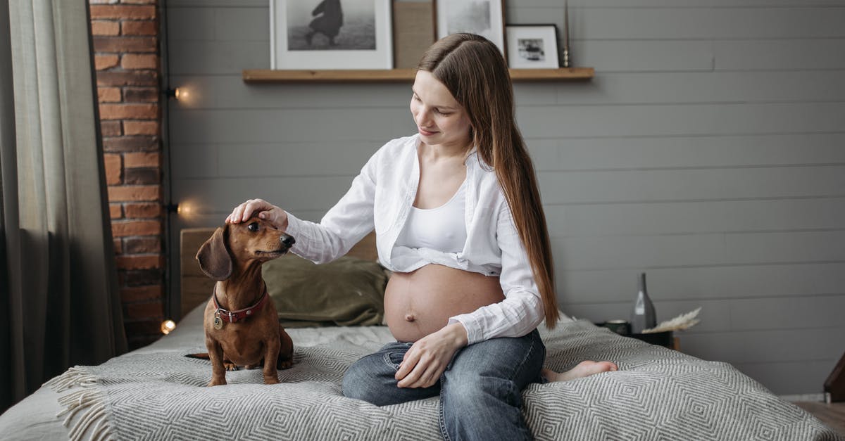 Shipping my dog - Free stock photo of activities for pregnant women, adult, aerobics Shipping my dog - Free stock photo of activities for pregnant women, adult, aerobics