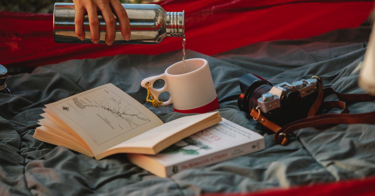 Should I get travel insurance for a trip booked as a mileage award? - Crop faceless woman pouring tea from thermos during picnic Should I get travel insurance for a trip booked as a mileage award? - Crop faceless woman pouring tea from thermos during picnic
