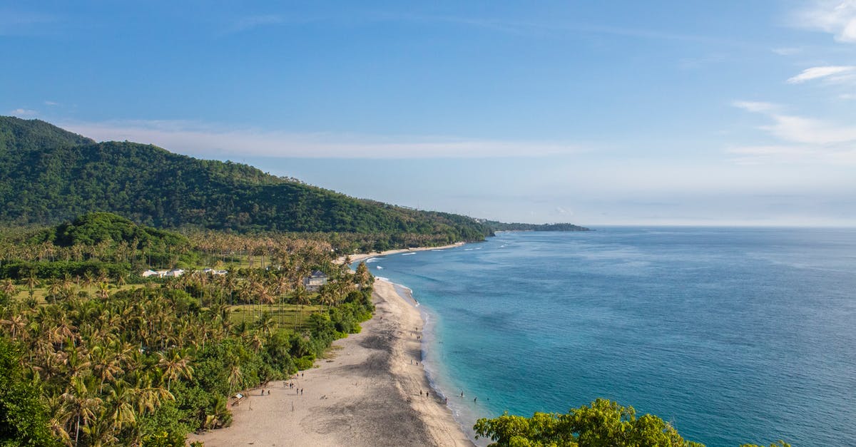 Should I get vaccination before travelling to Lombok (Indonesia) - Green Trees Near Blue Sea Under Blue Sky Should I get vaccination before travelling to Lombok (Indonesia) - Green Trees Near Blue Sea Under Blue Sky