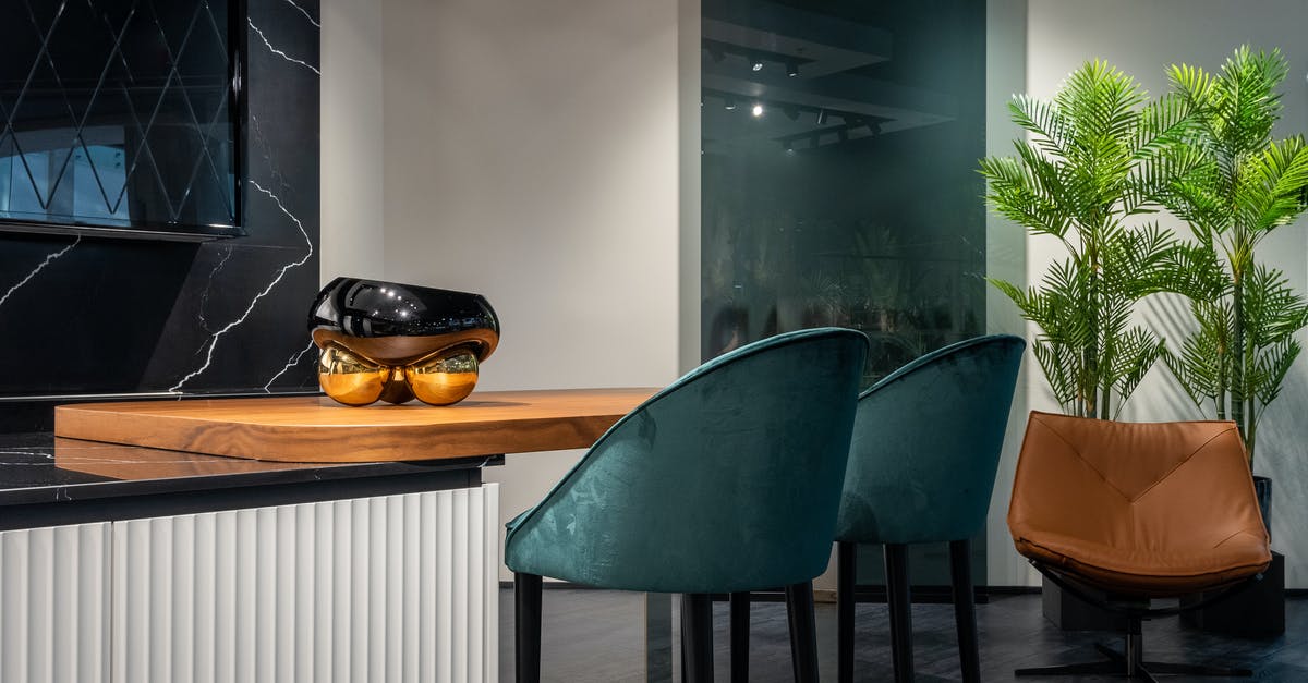 Should I tip in-room dining in US? How and how much? - Comfortable blue high chairs near counter in trendy modern kitchen decorated with lush potted plants in evening Should I tip in-room dining in US? How and how much? - Comfortable blue high chairs near counter in trendy modern kitchen decorated with lush potted plants in evening