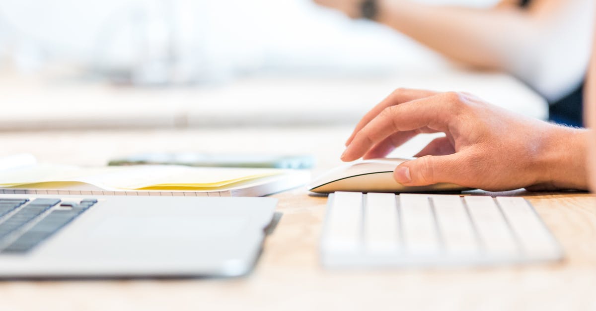 Should I write anything in the "Type of License/Certification/Permit OR Working Title" field when requesting a record clearance for visa application? - Silver Magic Keyboard Should I write anything in the "Type of License/Certification/Permit OR Working Title" field when requesting a record clearance for visa application? - Silver Magic Keyboard