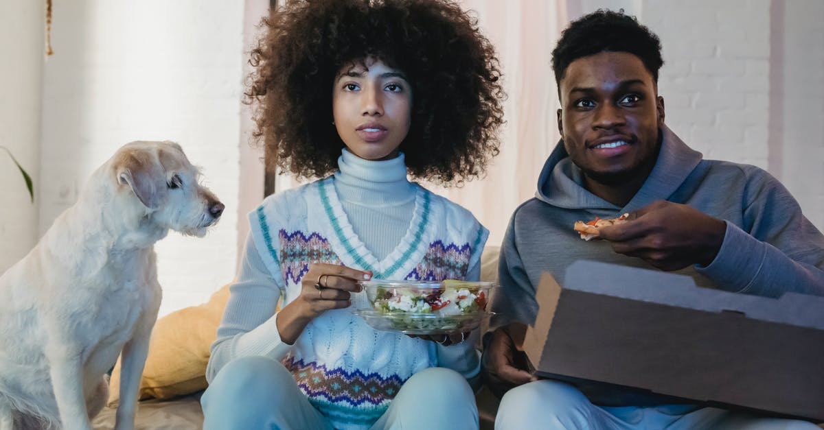 Should my non-American girlfriend mention her American boyfriend when applying for a visa? - Concentrated young African American couple with curly hairs in casual outfits eating takeaway salad and pizza while watching TV sitting on sofa near cute purebred dog Should my non-American girlfriend mention her American boyfriend when applying for a visa? - Concentrated young African American couple with curly hairs in casual outfits eating takeaway salad and pizza while watching TV sitting on sofa near cute purebred dog