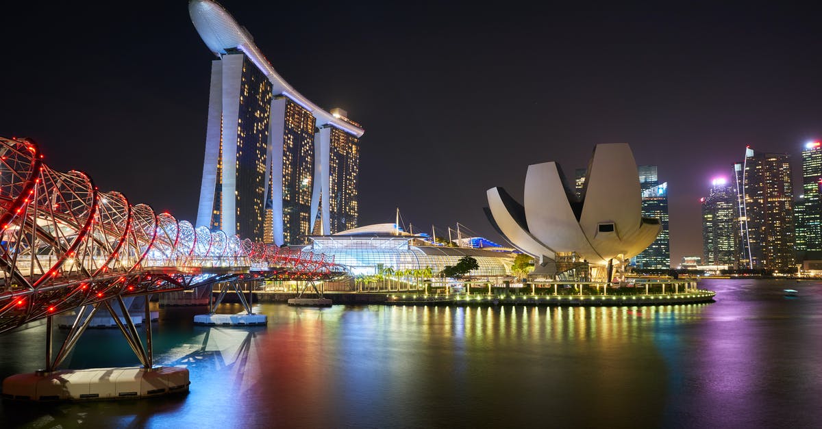 Singapore airport to hotel late at night - Gardens by the Bay, Singapore Singapore airport to hotel late at night - Gardens by the Bay, Singapore