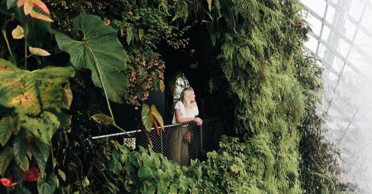 Singapore Tourist visa extension - A Woman Leaning by the Metal Railings of Gardens by the Bay Singapore Tourist visa extension - A Woman Leaning by the Metal Railings of Gardens by the Bay