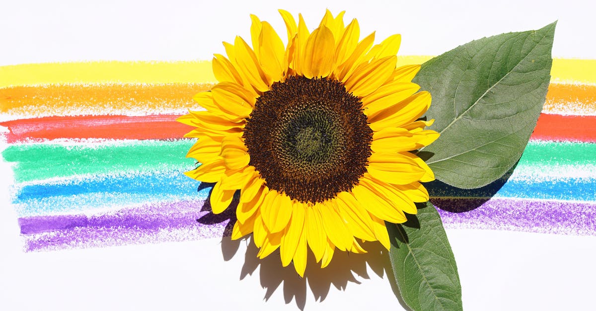 Single Entry Schengen Visa for Bulgaria - Yellow Sunflower With Leaves Single Entry Schengen Visa for Bulgaria - Yellow Sunflower With Leaves