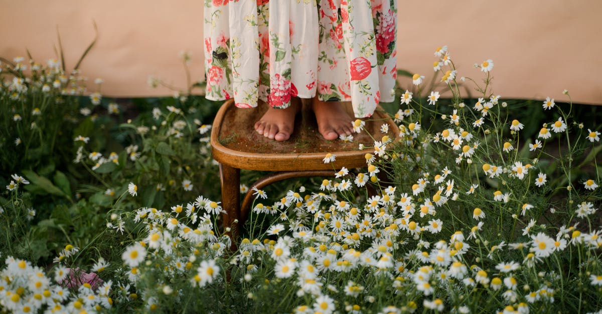Skipping the final leg in a multi-stop flight, will there be any immigration problems? [duplicate] - Woman Standing on Chair on Flower Field