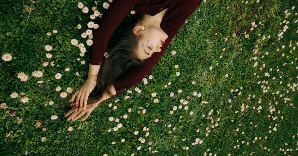 Sleeping aids for long flights [duplicate] - Woman in Maroon Long Sleeve Shirt Lying on White Flower Field