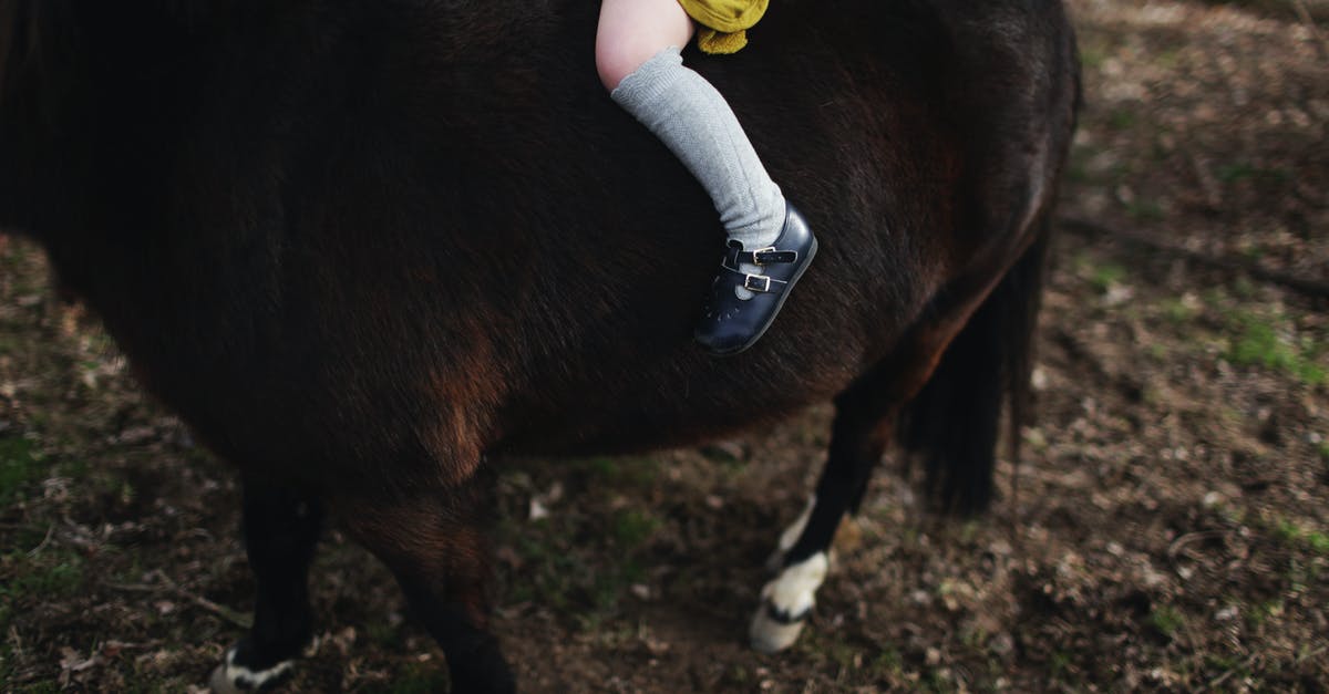 Small children to see the Queen's Horse Guards in London? - Crop little kid riding dark brown pony Small children to see the Queen's Horse Guards in London? - Crop little kid riding dark brown pony