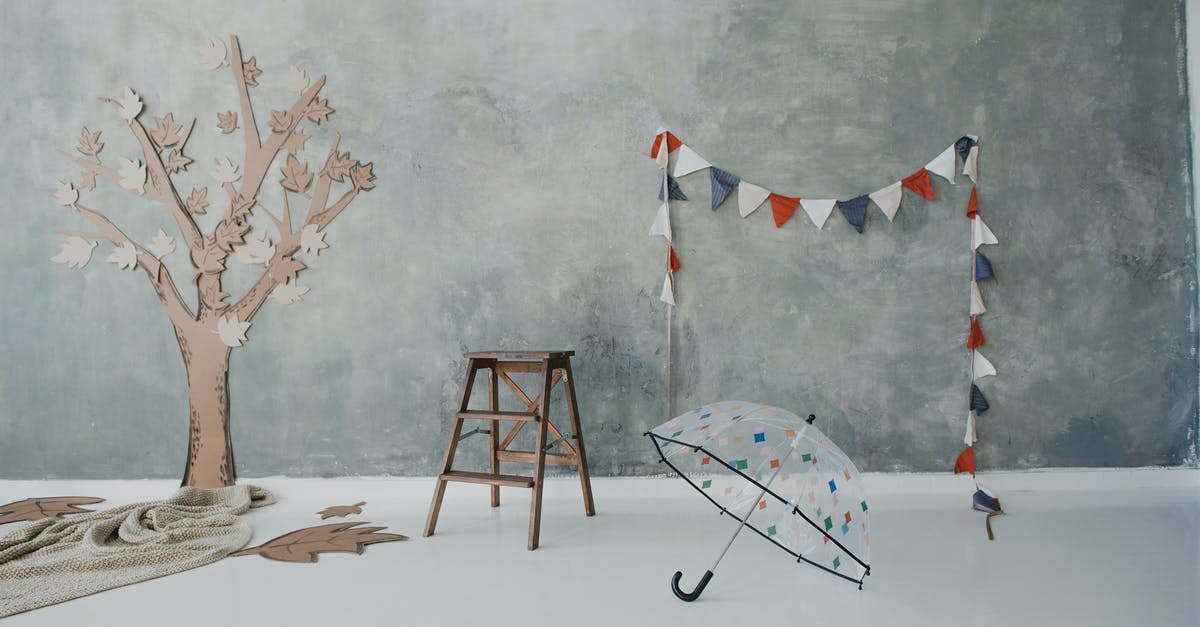 Small umbrella in the carry-on bag? - Transparent umbrella and decorative tree with leaves made of cardboard put on smooth white floor near heterogeneous grey background with garland in photo studio Small umbrella in the carry-on bag? - Transparent umbrella and decorative tree with leaves made of cardboard put on smooth white floor near heterogeneous grey background with garland in photo studio