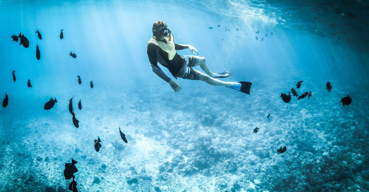 Snorkeling in southern Japan? - Photo of a Person Snorkeling Snorkeling in southern Japan? - Photo of a Person Snorkeling