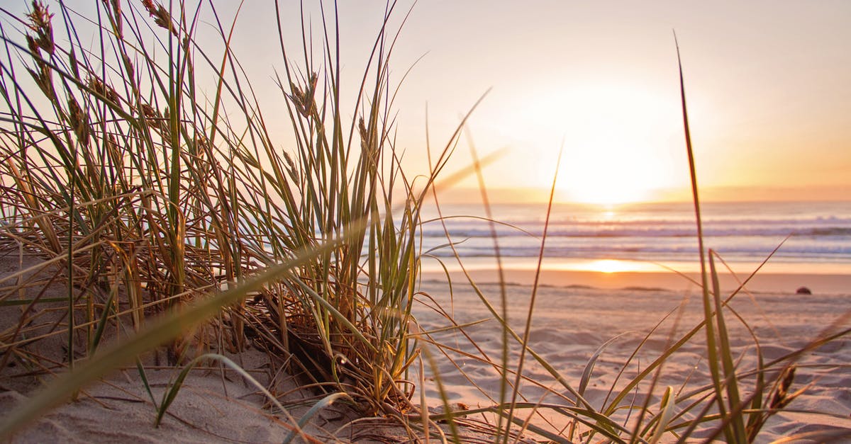 Snowfall at sea level closest to the equator? [closed] - Green Grass on Sand Overlooking Body of Water