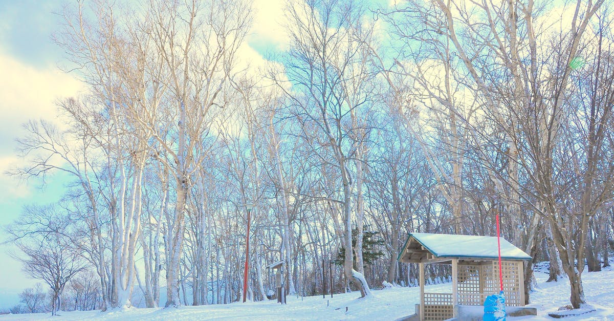 South Korea vs. Japan. Which gets cold earlier in autumn? - Snow Field Near in Forest South Korea vs. Japan. Which gets cold earlier in autumn? - Snow Field Near in Forest