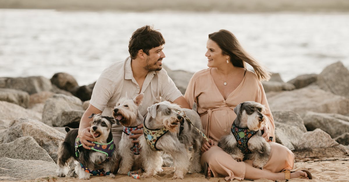Spending pesos at IAH - Happy Couple Spending Time on Beach with Cute Dogs Spending pesos at IAH - Happy Couple Spending Time on Beach with Cute Dogs