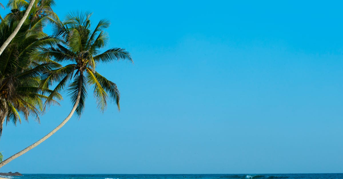Sri Lanka as a tourist: Are there regions I should avoid? - Palm Tree Facing Sea Sri Lanka as a tourist: Are there regions I should avoid? - Palm Tree Facing Sea