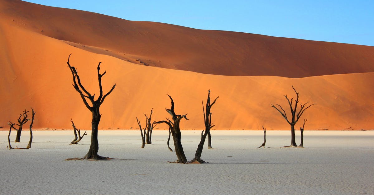 Staying in Etosha Park, Namibia - Bare Trees in Desert Staying in Etosha Park, Namibia - Bare Trees in Desert