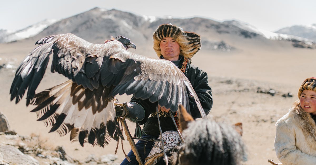Staying in the Mongolian countryside on a reasonable budget - Serious Mongolian hunters with eagles riding horses in highlands Staying in the Mongolian countryside on a reasonable budget - Serious Mongolian hunters with eagles riding horses in highlands