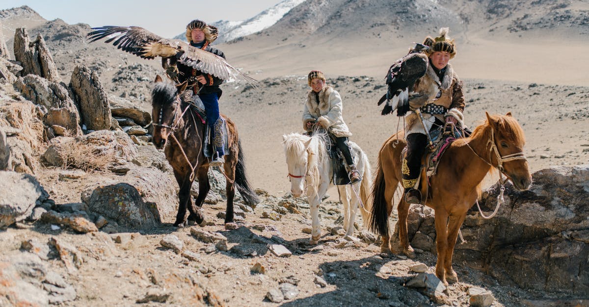 Staying in the Mongolian countryside on a reasonable budget - Full body Mongolian horsemen wearing traditional local clothes carrying eagles on hands and riding horses along spacious rocky terrain during eagle hunting Staying in the Mongolian countryside on a reasonable budget - Full body Mongolian horsemen wearing traditional local clothes carrying eagles on hands and riding horses along spacious rocky terrain during eagle hunting