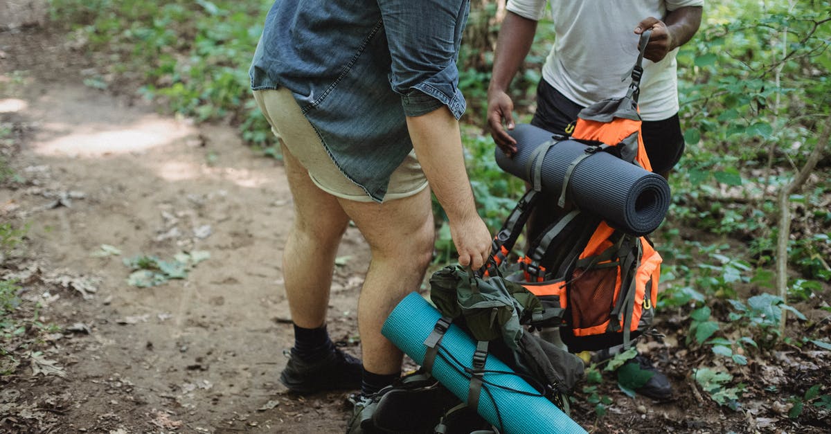 Stopping at a rest stop while traveling with a dog in the US - Multiethnic travelers putting backpacks on ground Stopping at a rest stop while traveling with a dog in the US - Multiethnic travelers putting backpacks on ground