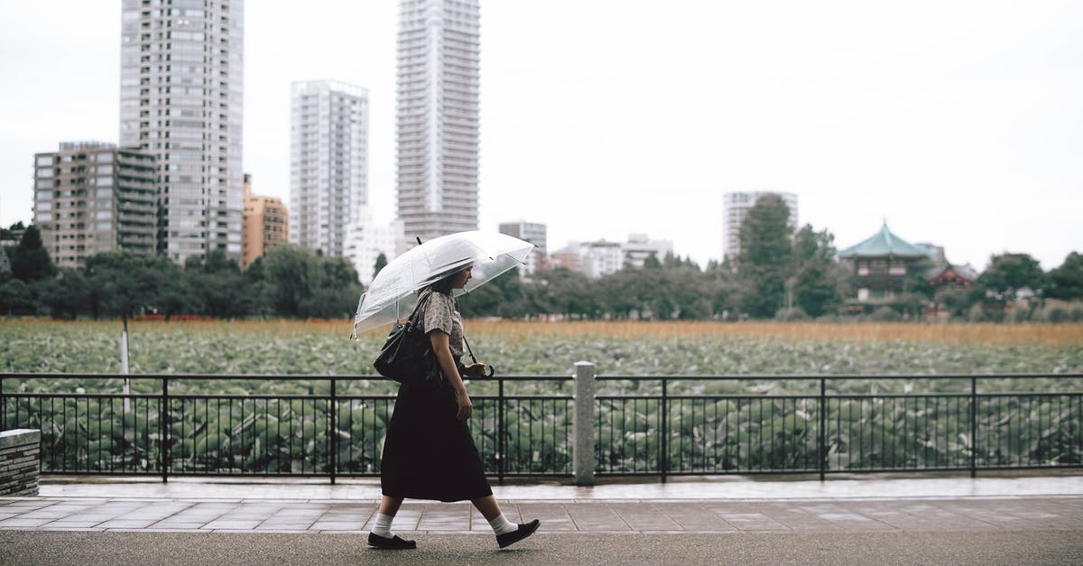 Student travelling to Japan for short term visa requirements - Girl Walking on Sidewalk With An Umbrella Student travelling to Japan for short term visa requirements - Girl Walking on Sidewalk With An Umbrella