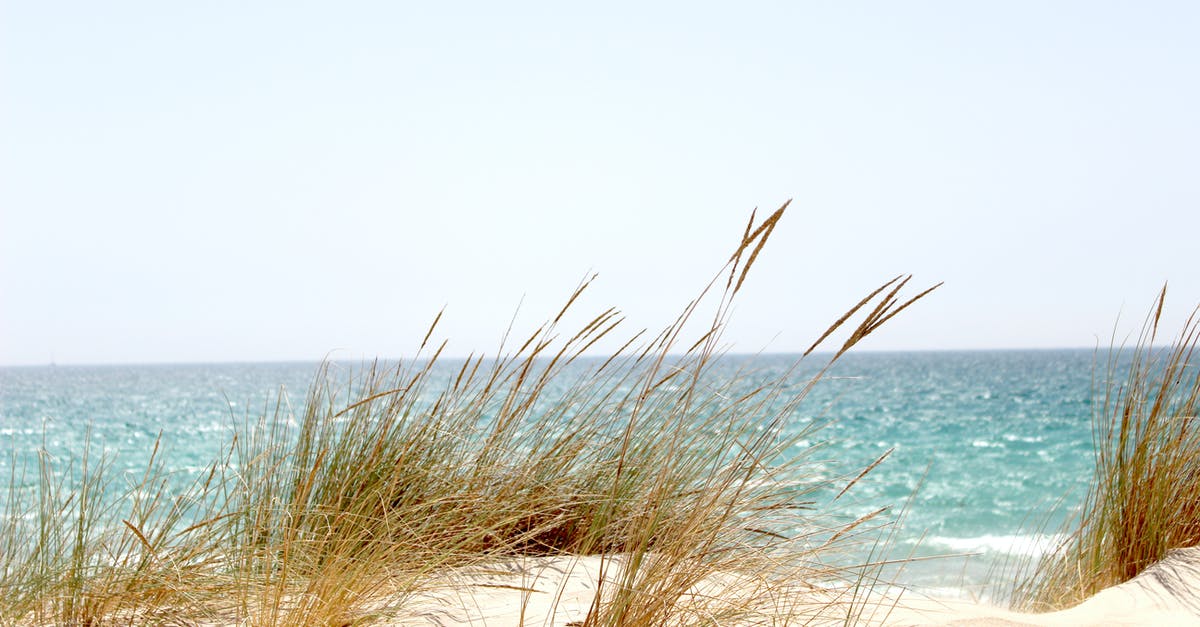 Summer Travel: Jeju Island MERS Problems? - Grass Beside the Sea Summer Travel: Jeju Island MERS Problems? - Grass Beside the Sea