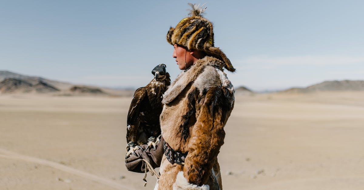 Sustainable hunting in South-East Asia - Mongolian man standing with eagle on hand in spacious valley Sustainable hunting in South-East Asia - Mongolian man standing with eagle on hand in spacious valley
