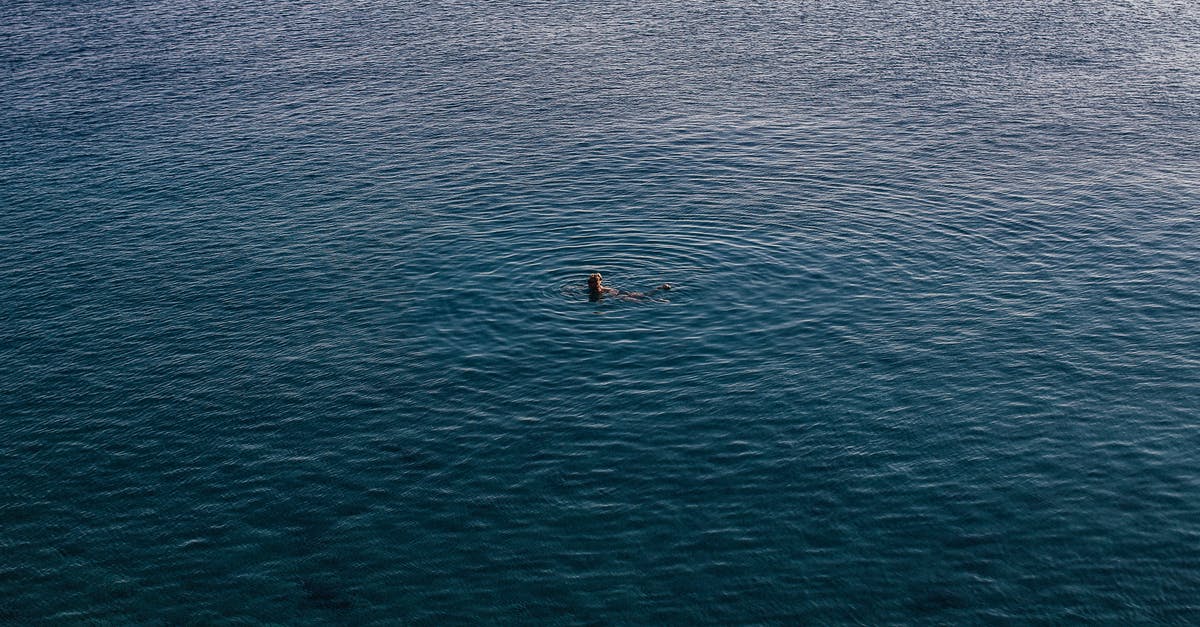 Swimming in the Dead Sea - Person in Black and White Boat on Blue Sea Swimming in the Dead Sea - Person in Black and White Boat on Blue Sea