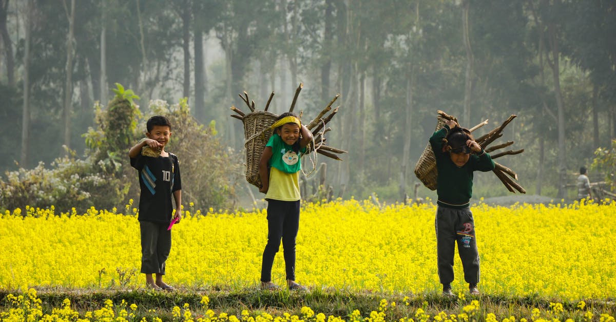 Taking 400 ml mustard oil in checked in luggage to Slovenia - Three Boy's Standing Holding Branches