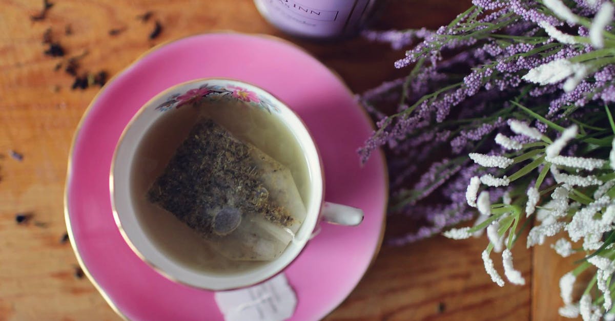 Taking fennel tea bags into Canada - Tea Bag in Teacup Taking fennel tea bags into Canada - Tea Bag in Teacup