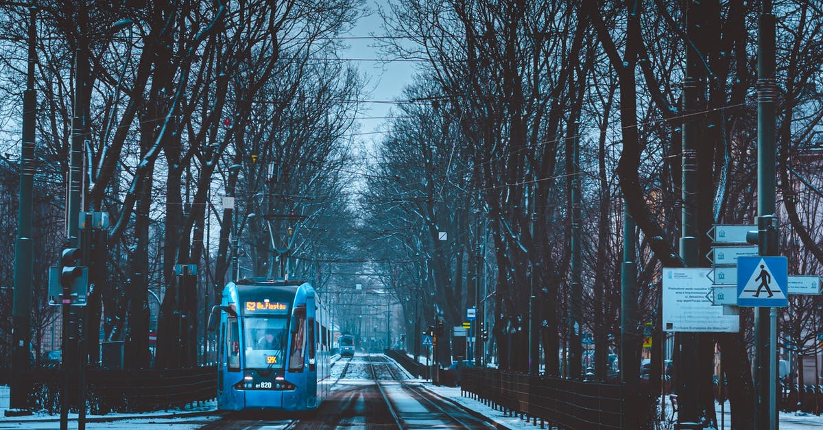 The Haramain Railway or Mecca-Medina Railway - Blue Train on Rail Road Between Bare Trees The Haramain Railway or Mecca-Medina Railway - Blue Train on Rail Road Between Bare Trees