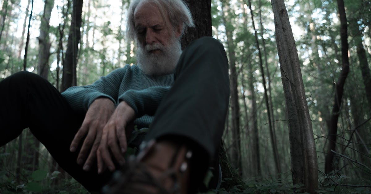 The lost colony of Roanoke site - Man in Black Long Sleeve Shirt Sitting on Tree The lost colony of Roanoke site - Man in Black Long Sleeve Shirt Sitting on Tree