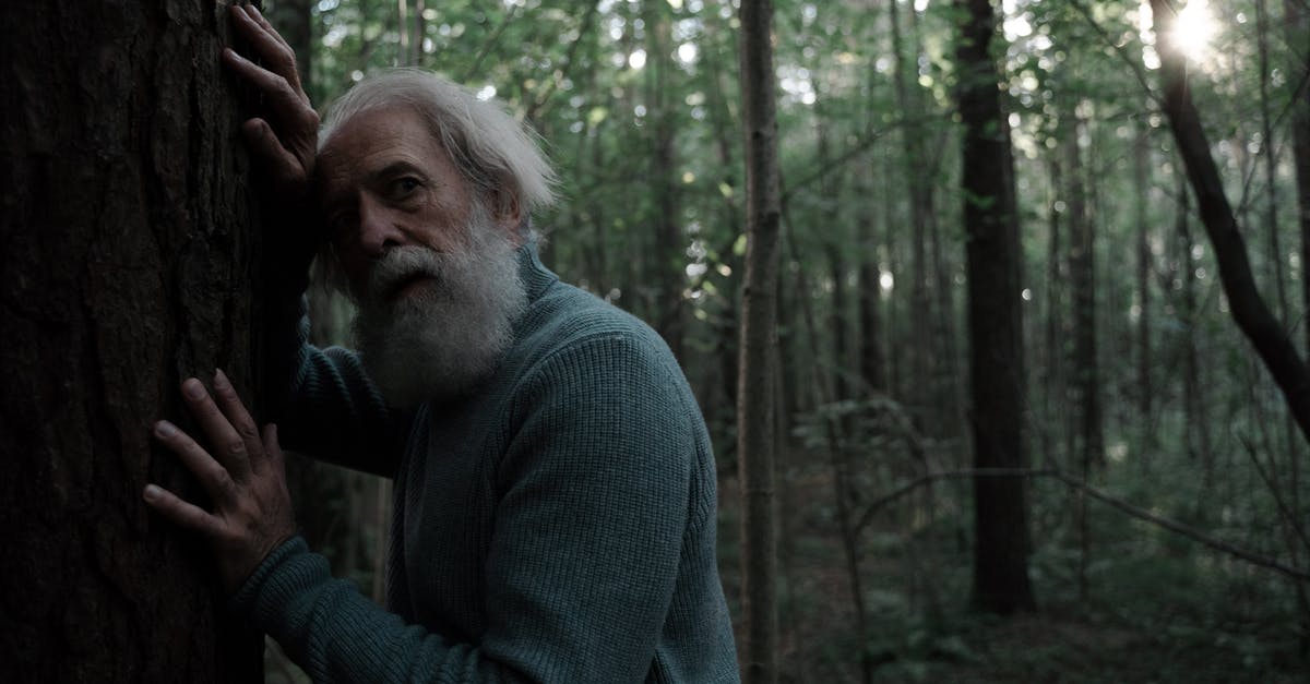 The lost colony of Roanoke site - Man in Gray Sweater Standing Near Trees The lost colony of Roanoke site - Man in Gray Sweater Standing Near Trees