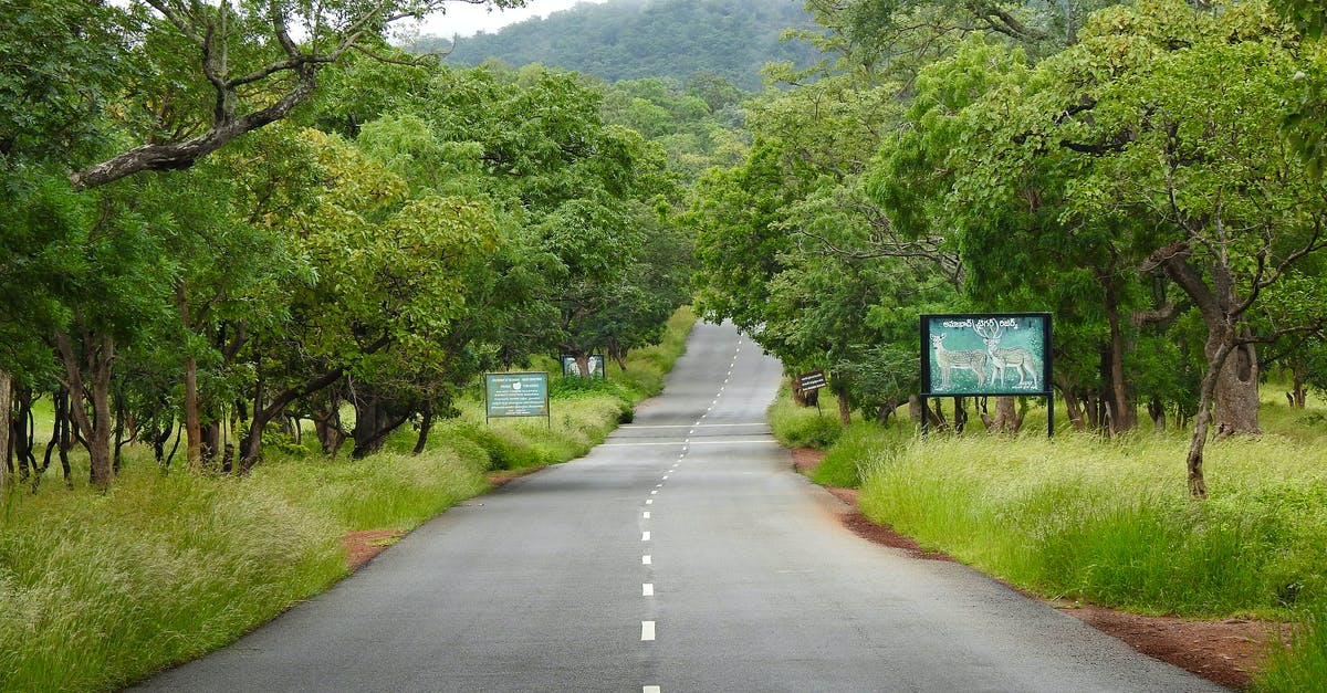 Theft insurance in India - Gray Concrete Road Between Green Trees Theft insurance in India - Gray Concrete Road Between Green Trees