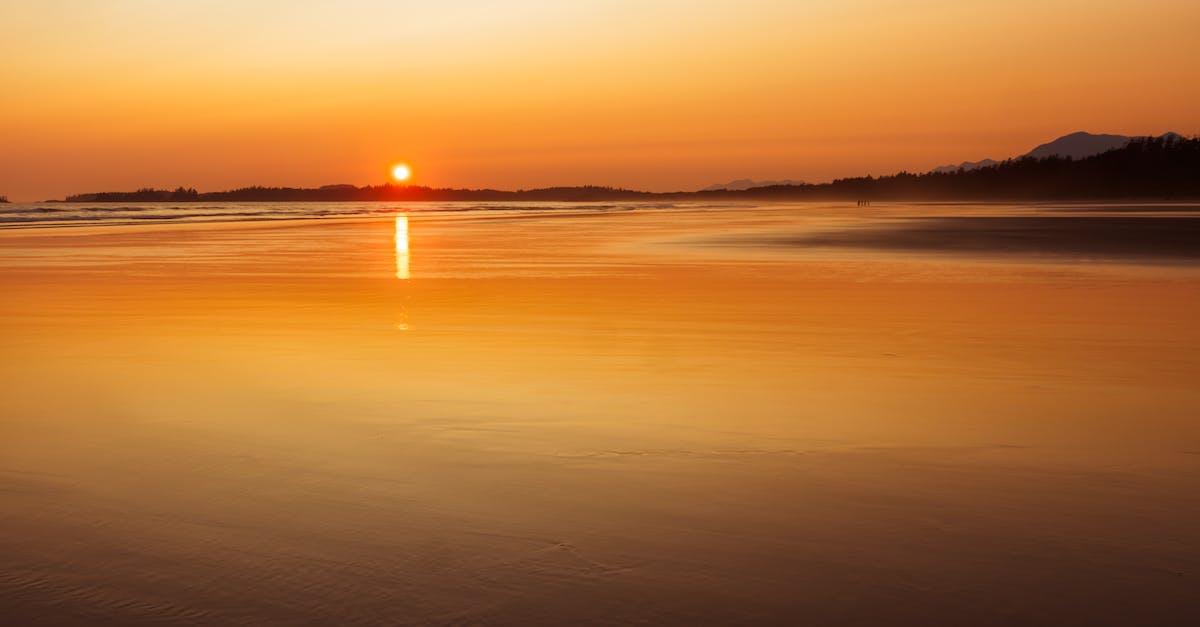 Things to see/do between Victoria and Ucluelet on Vancouver Island? - Body of Water during Sunset Things to see/do between Victoria and Ucluelet on Vancouver Island? - Body of Water during Sunset