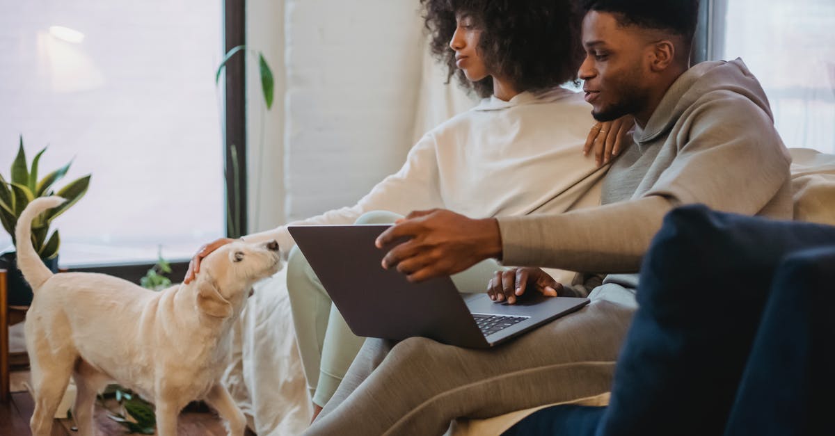 Time for domestic to international connection at Orlando/MCO - Black couple browsing laptop and playing with dog at home Time for domestic to international connection at Orlando/MCO - Black couple browsing laptop and playing with dog at home