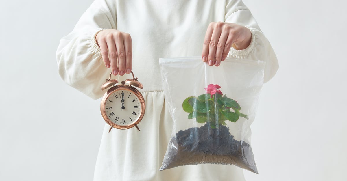 Time to Recheck Bag? - Woman Holding a Clock and a Plant in Plastic BagĀ Time to Recheck Bag? - Woman Holding a Clock and a Plant in Plastic BagĀ