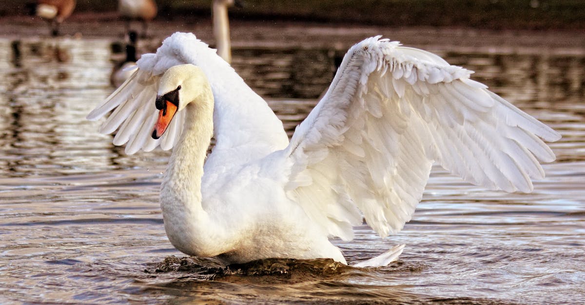 Tips and tricks surviving a long-haul flight departing at midnight - White Swan Tips and tricks surviving a long-haul flight departing at midnight - White Swan