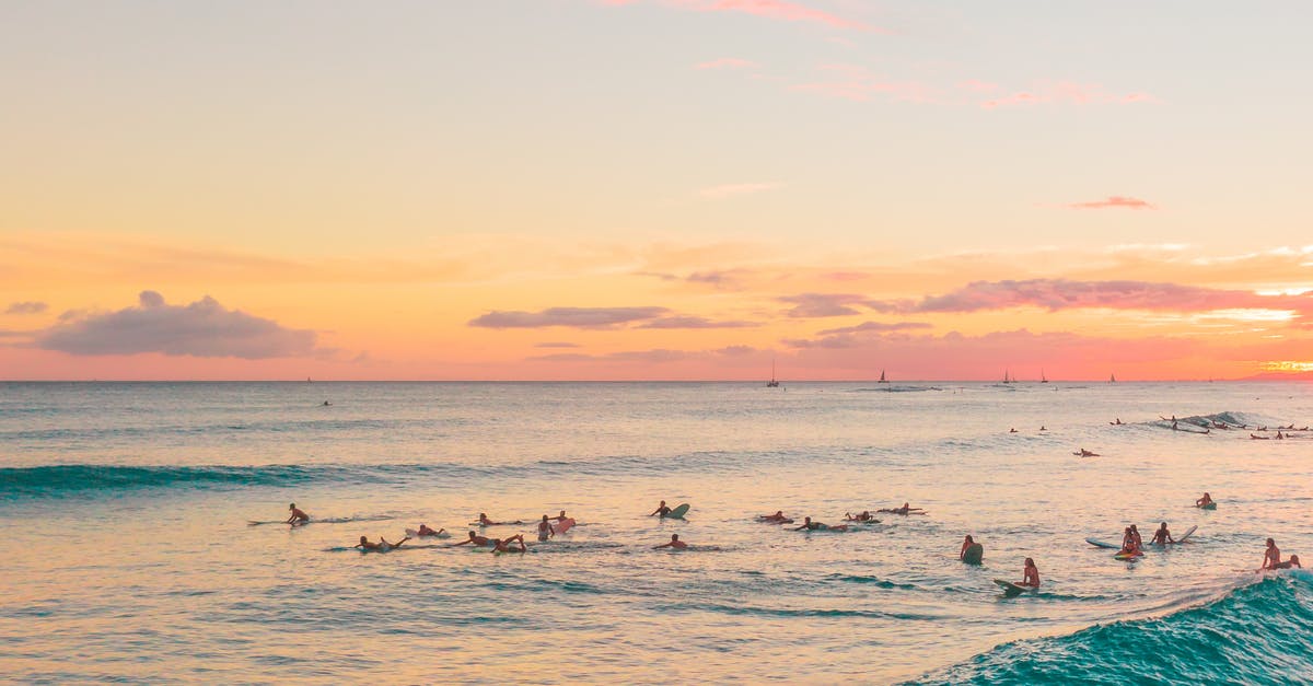 Tips for surfing on the coast to the North Sea/English Channel - Surfers Surfing during Sunset