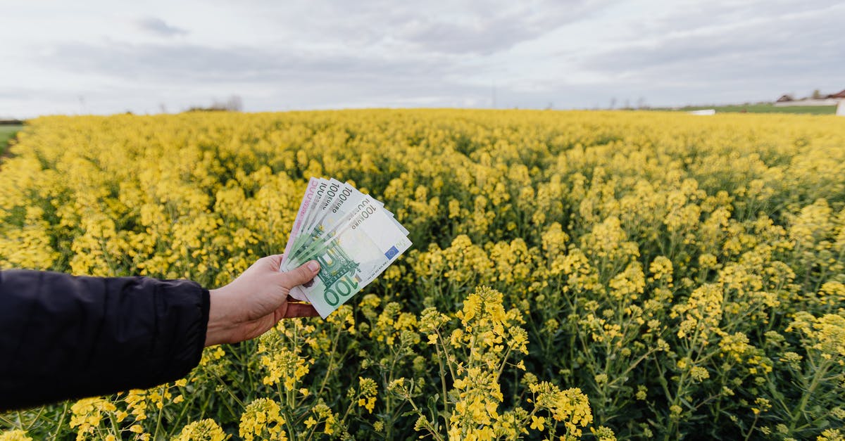 toll cost for my trip [duplicate] - Crop man with paper banknotes on blooming meadow