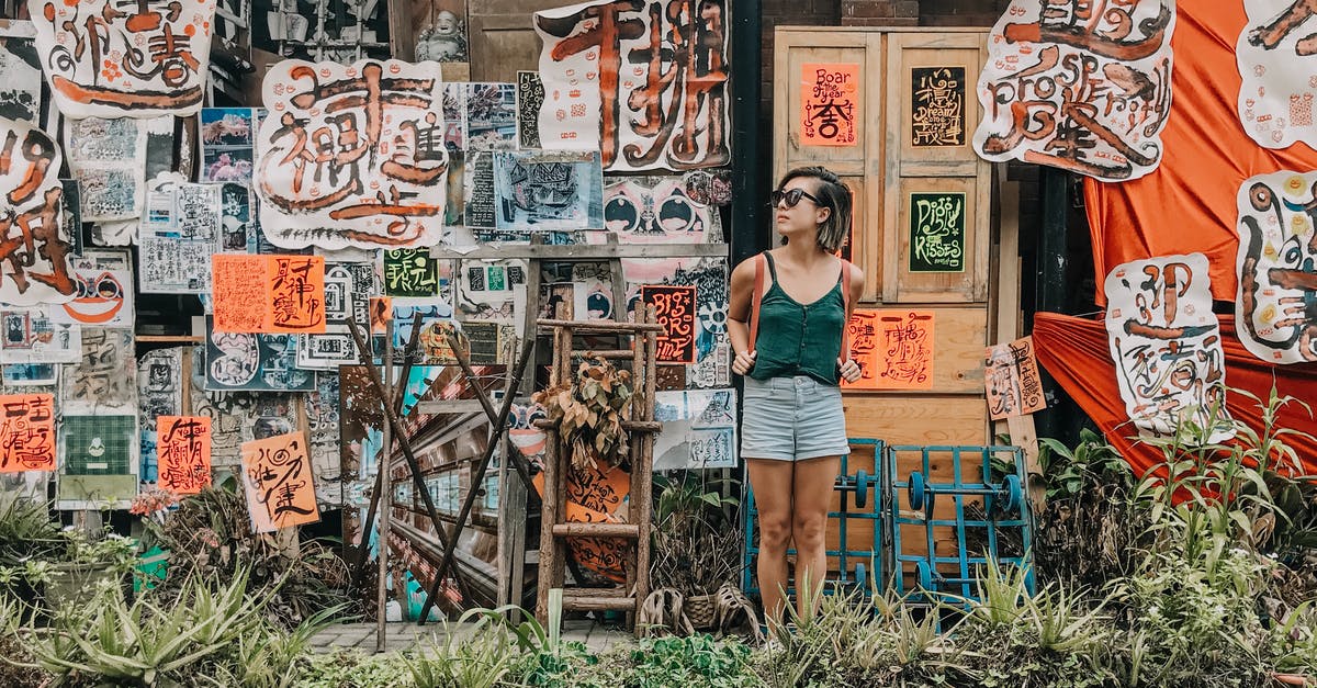 Tourist on ICT Short term visa? - Woman Standing in Front of Paintings Tourist on ICT Short term visa? - Woman Standing in Front of Paintings
