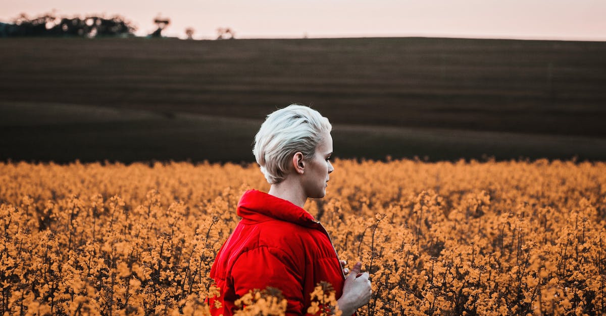 Tours of opium poppy farms or processing facilities in Tasmania - Woman Walking At A Field Of Flowers