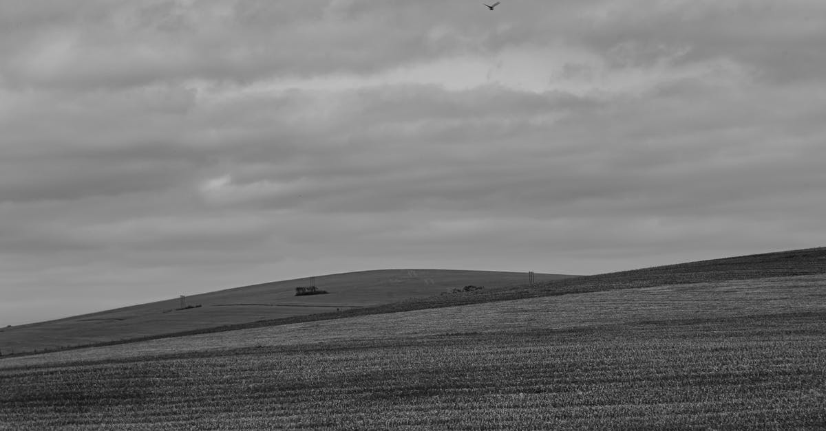 Track flight prices based on route, not specific dates, on Google Flights - Black and white of meadow with trails near hilly terrain covered with grass in nature against bird flying in countryside Track flight prices based on route, not specific dates, on Google Flights - Black and white of meadow with trails near hilly terrain covered with grass in nature against bird flying in countryside