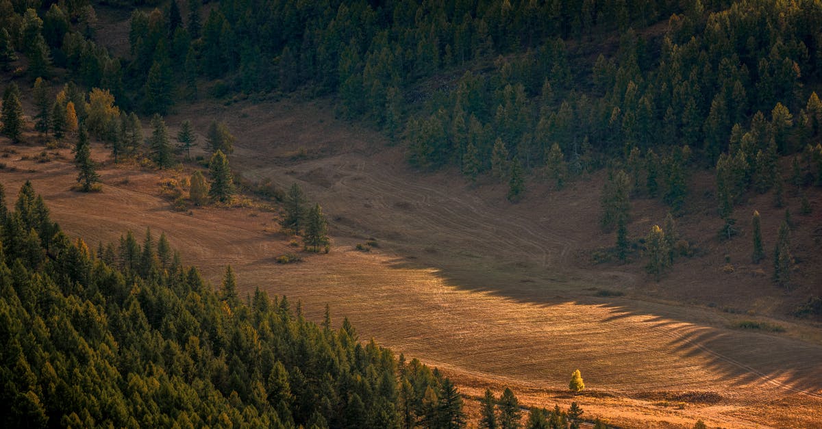 Transfer between Trysil and Scandinavian Mountains Airport - View on Wide Deforested Valley Between Forested Slopes of Mountain Transfer between Trysil and Scandinavian Mountains Airport - View on Wide Deforested Valley Between Forested Slopes of Mountain