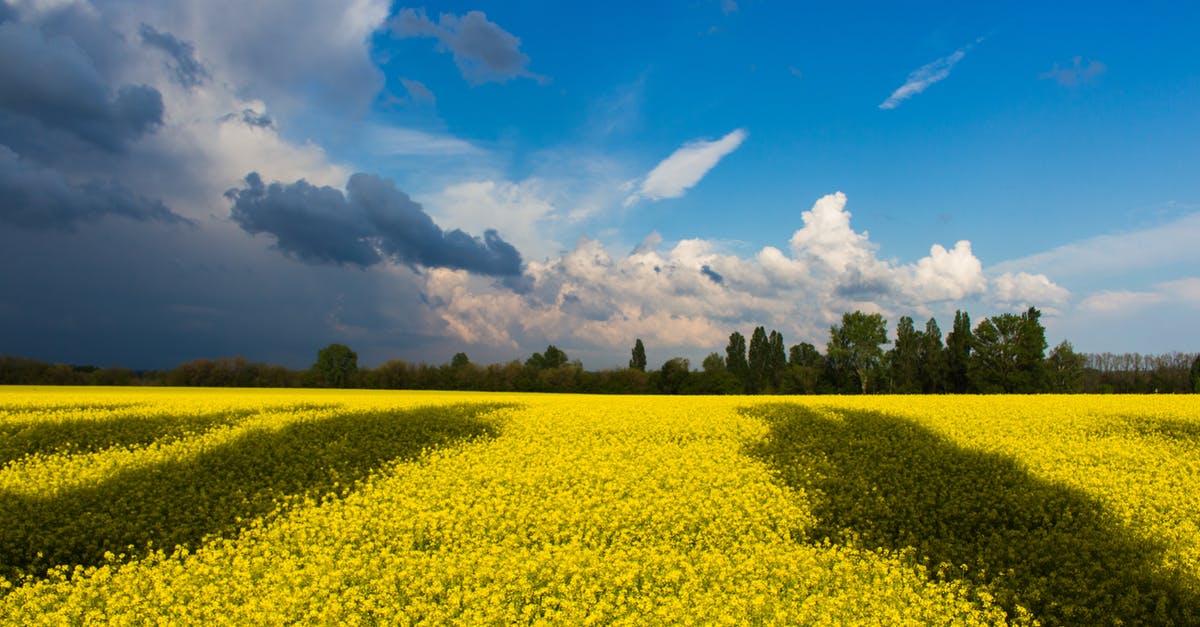 Transit Visa for Ukraine - Green Field Under White and Blue Clouds during Daytime Transit Visa for Ukraine - Green Field Under White and Blue Clouds during Daytime