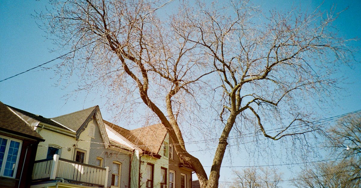 Transit visa for US permanent resident travelling thru Toronto - Bare Tree Transit visa for US permanent resident travelling thru Toronto - Bare Tree