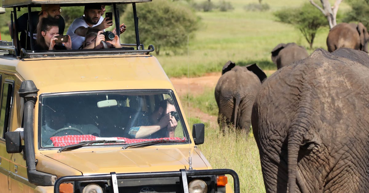 Transit Visas for South Africa Undesirable-Overstay Tourists - Brown and Black Jeep Wrangler Transit Visas for South Africa Undesirable-Overstay Tourists - Brown and Black Jeep Wrangler