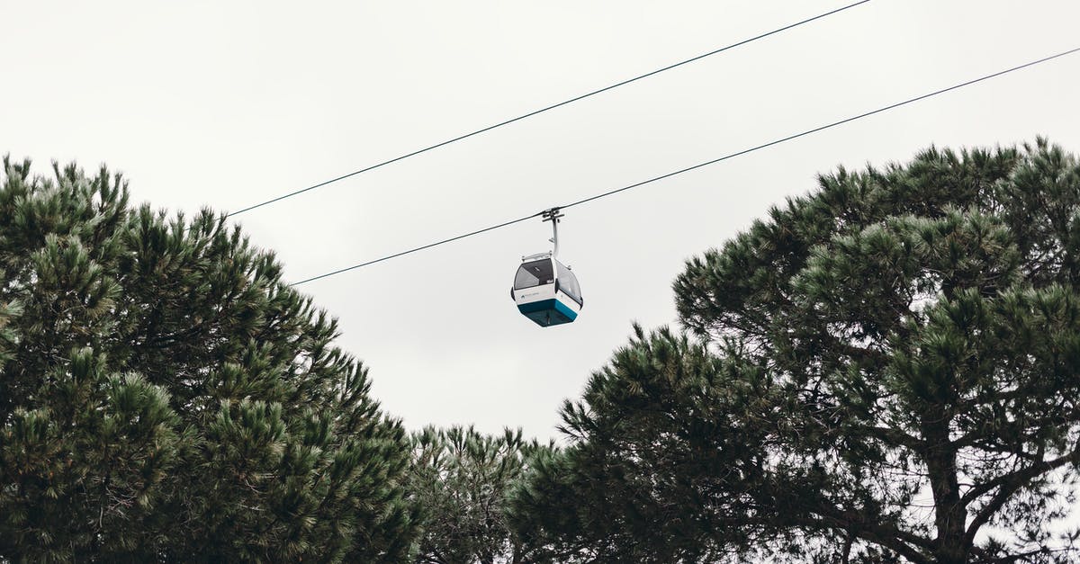Transportation from Moutiers Salins Station to Courchevel 1650 - From below of modern cable car over green trees under cloudy sky in daylight Transportation from Moutiers Salins Station to Courchevel 1650 - From below of modern cable car over green trees under cloudy sky in daylight
