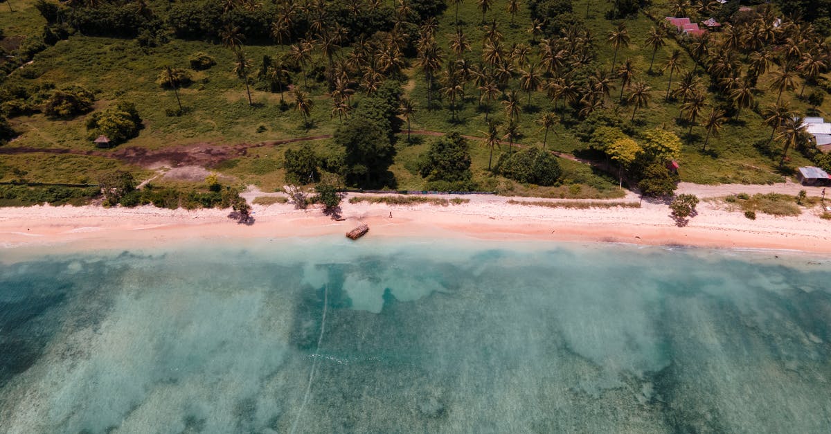 travel advice on visiting nusa lembongan and gili island from bali [closed] - Aerial View of Green Trees Beside Body of Water